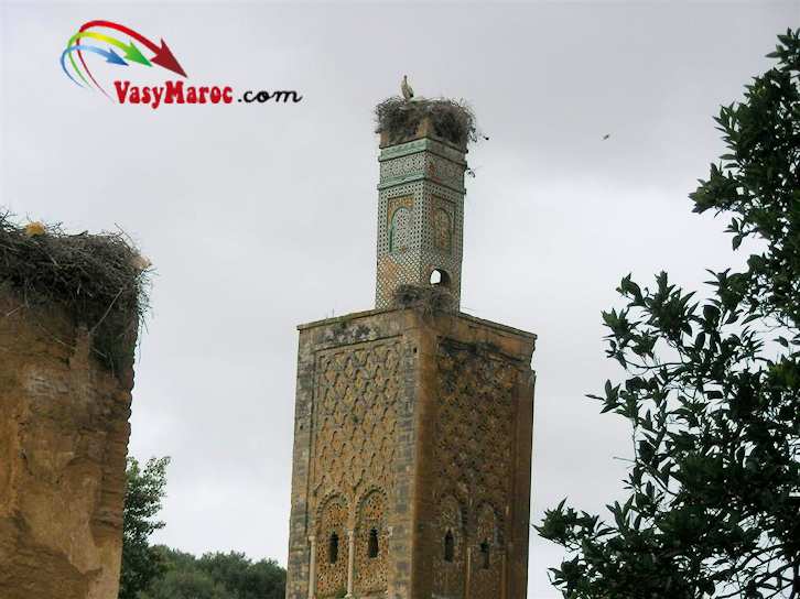 Rabat-Chellah : minaret de la mosquée mérinide